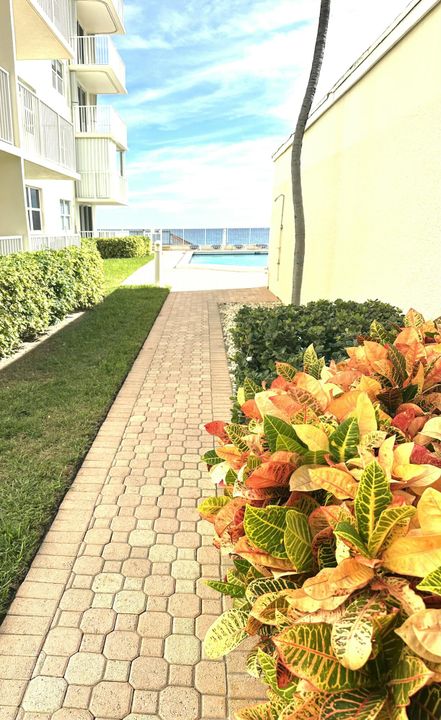 En Venta: $359,000 (1 camas, 1 baños, 785 Pies cuadrados)