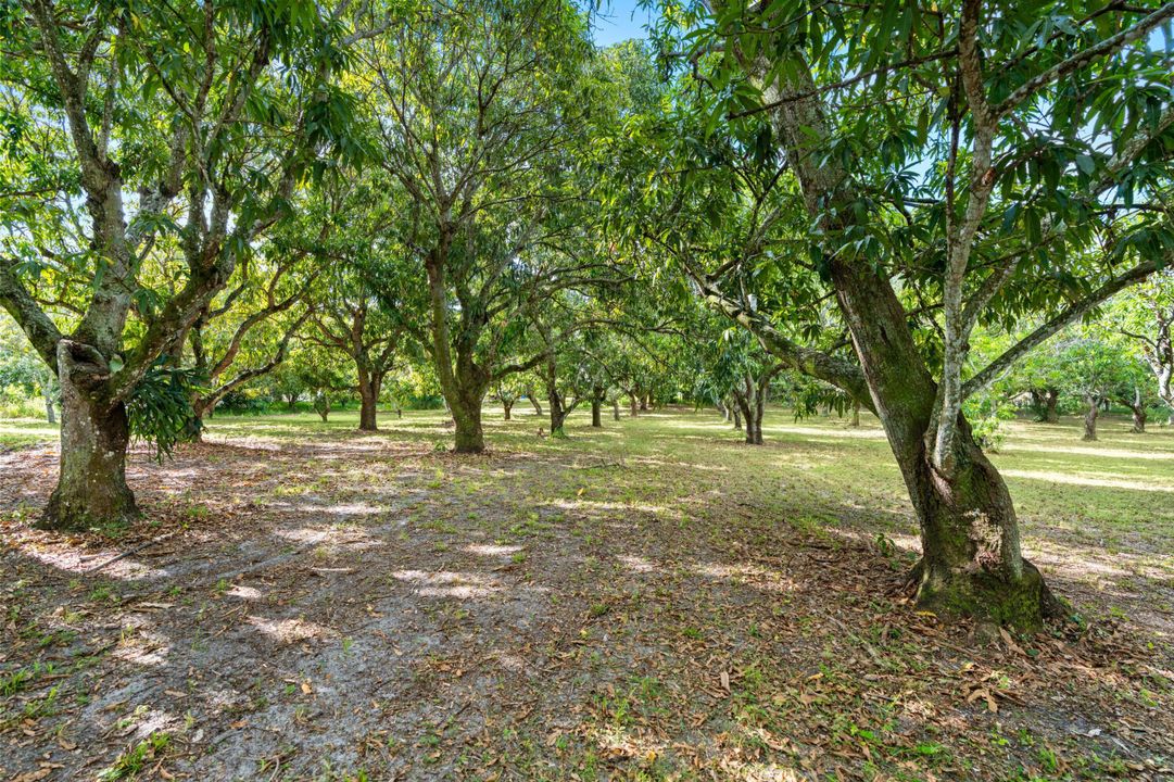 На продажу: $4,500,000 (0 спален, 0 ванн, 0 Квадратных фут)