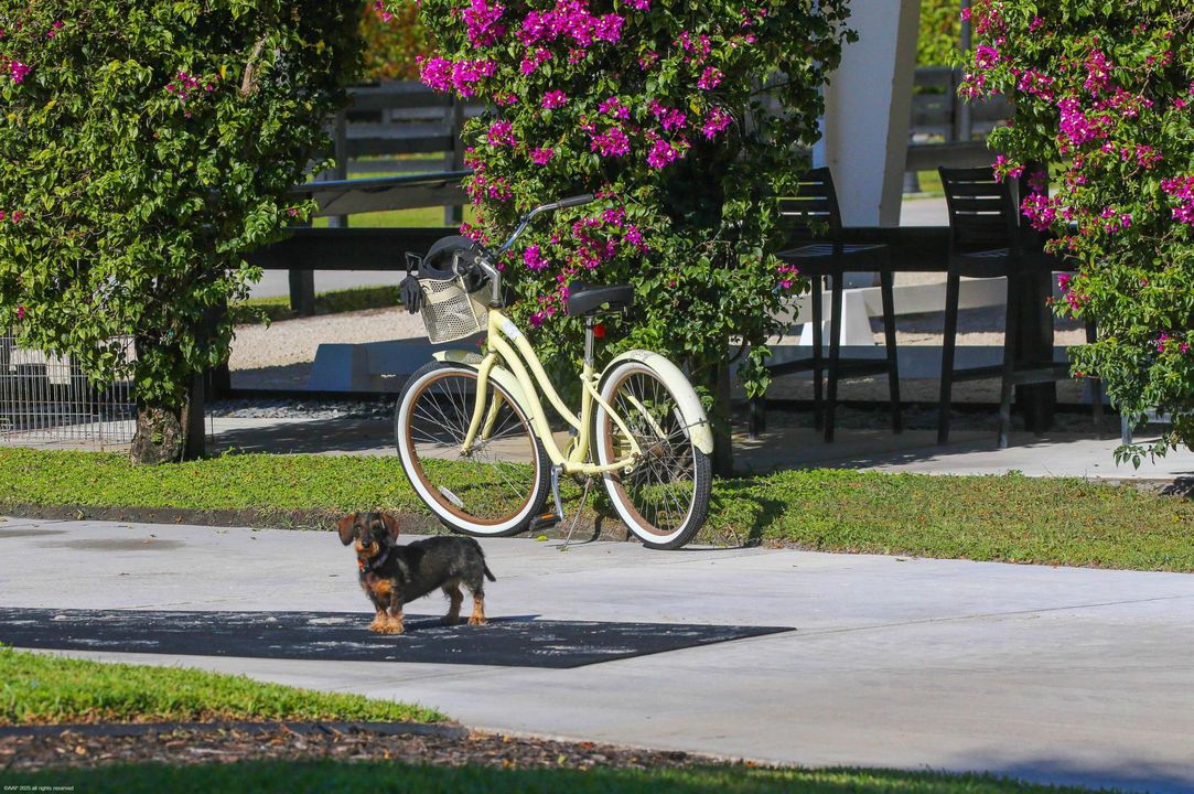 En Venta: $5,995,000 (5 camas, 3 baños, 7511 Pies cuadrados)