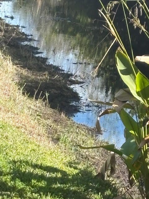 En Venta: $515,000 (2 camas, 2 baños, 2364 Pies cuadrados)