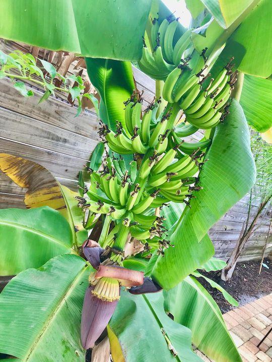 For Rent: $4,500 (2 beds, 2 baths, 1000 Square Feet)