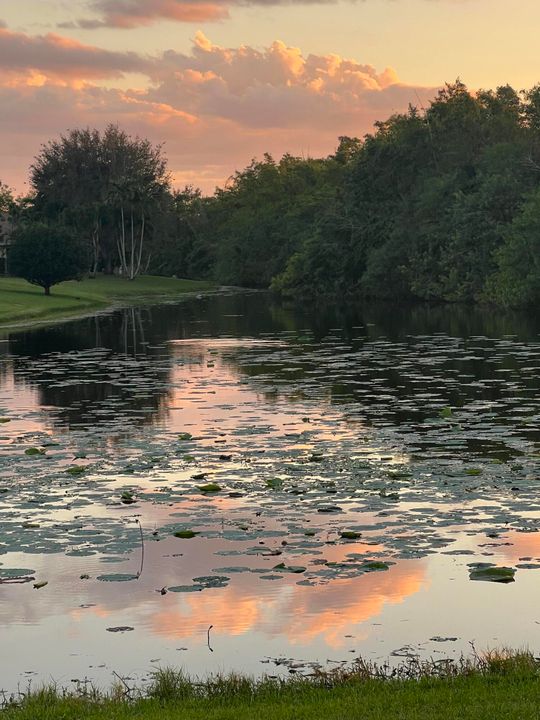 En Renta: $4,000 (3 camas, 2 baños, 1801 Pies cuadrados)