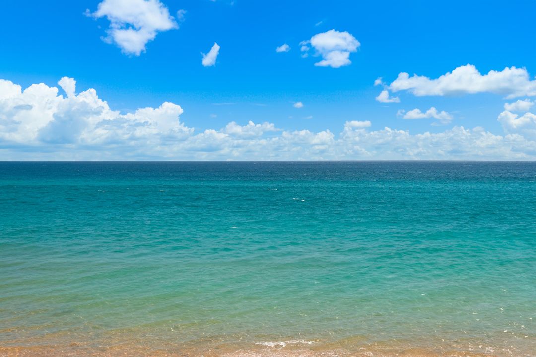 For Sale: $1,395,000 (3 beds, 2 baths, 1273 Square Feet)