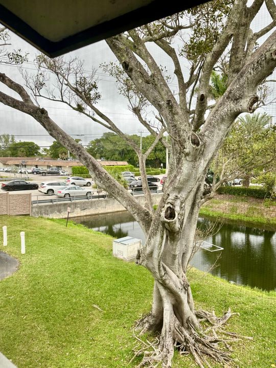 For Sale: $150,000 (2 beds, 2 baths, 1019 Square Feet)