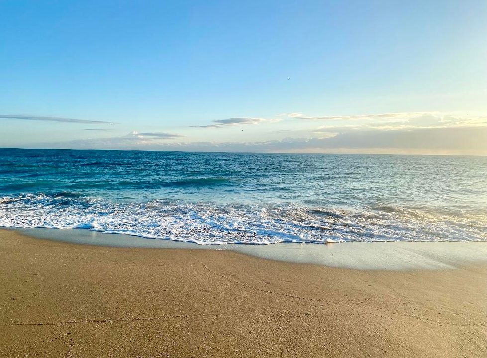 For Rent: $3,000 (3 beds, 2 baths, 1804 Square Feet)