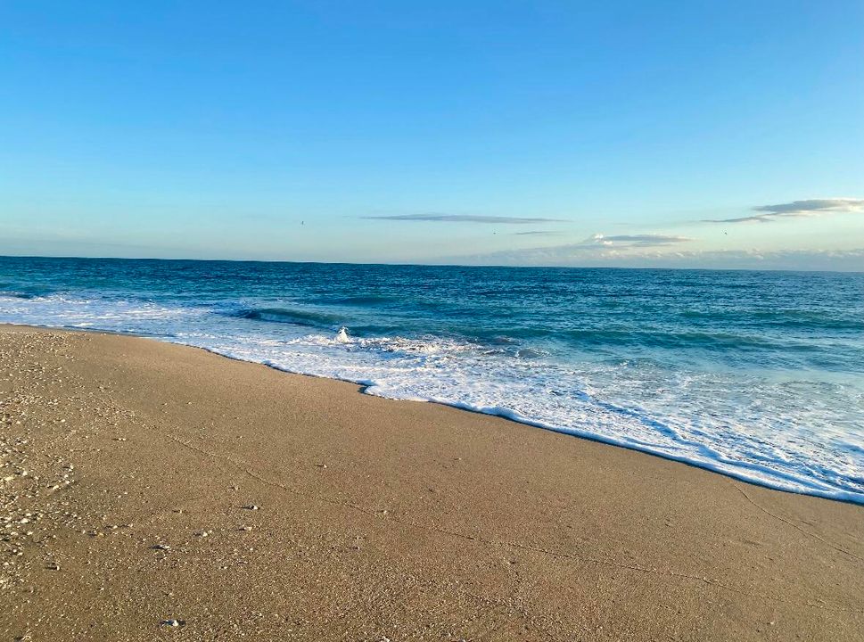 For Rent: $3,000 (3 beds, 2 baths, 1804 Square Feet)