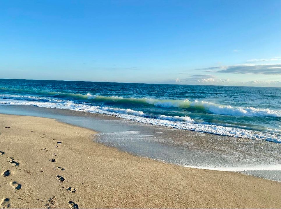 For Rent: $3,000 (3 beds, 2 baths, 1804 Square Feet)