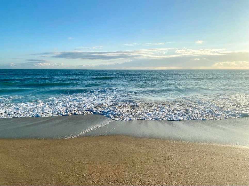 For Rent: $3,000 (3 beds, 2 baths, 1804 Square Feet)