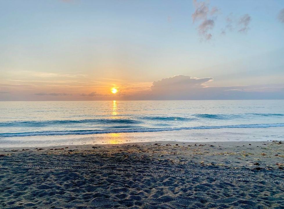 For Rent: $3,000 (3 beds, 2 baths, 1804 Square Feet)