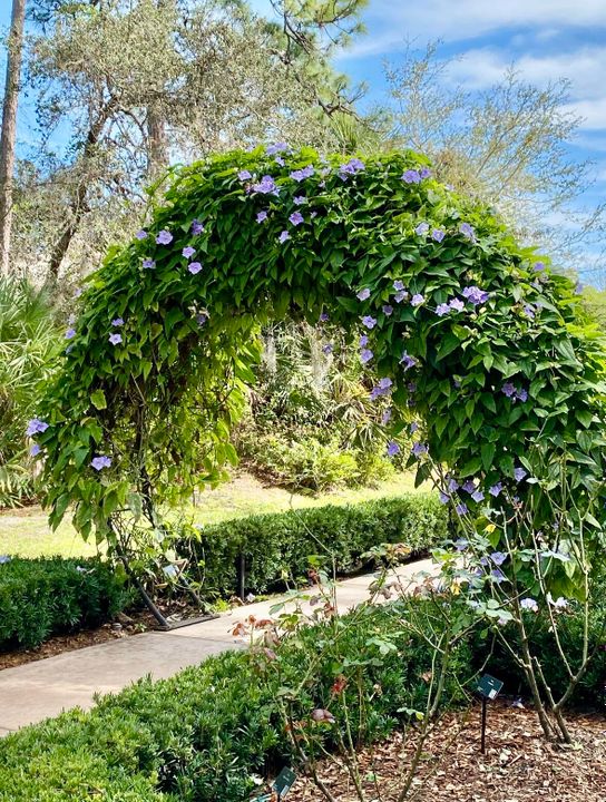 For Rent: $3,000 (3 beds, 2 baths, 1804 Square Feet)