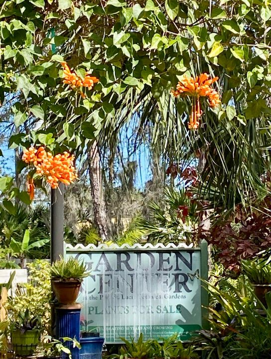 For Rent: $3,000 (3 beds, 2 baths, 1804 Square Feet)