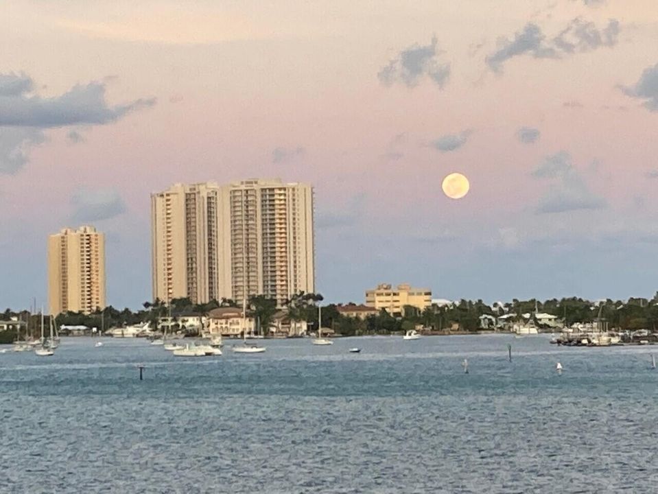 出租: $3,200 (2 贝兹, 2 浴室, 1440 平方英尺)