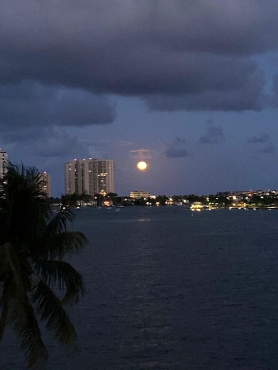 出租: $3,200 (2 贝兹, 2 浴室, 1440 平方英尺)