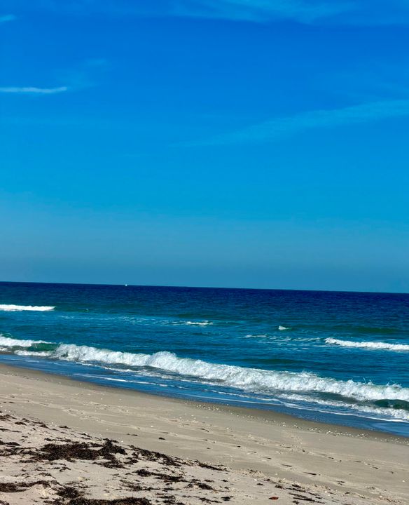 For Sale: $275,000 (2 beds, 1 baths, 1234 Square Feet)