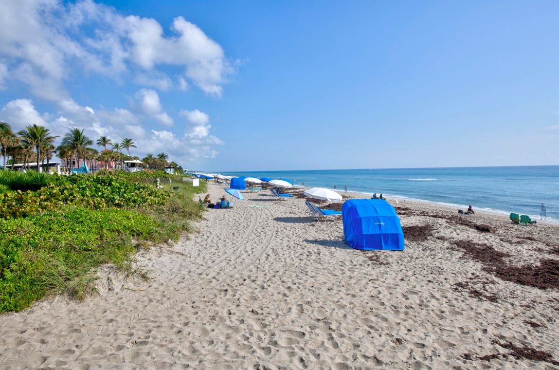 En Venta: $545,000 (3 camas, 2 baños, 1461 Pies cuadrados)