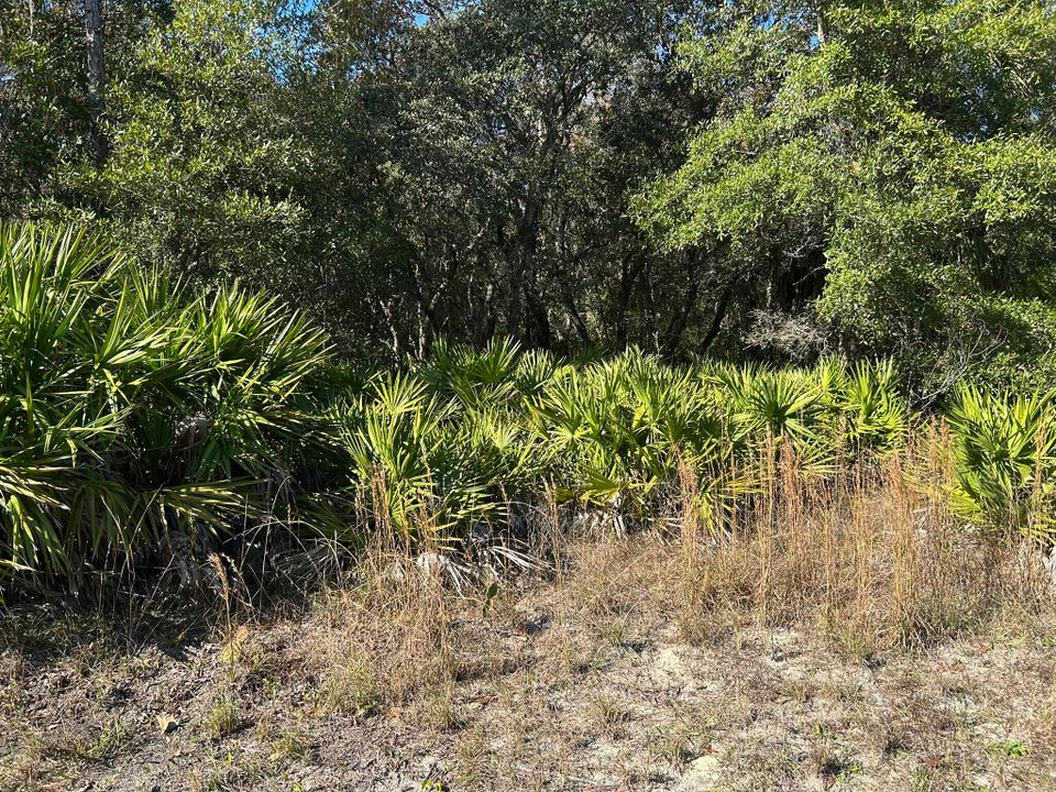 For Sale: $37,900 (0 beds, 0 baths, 0 Square Feet)