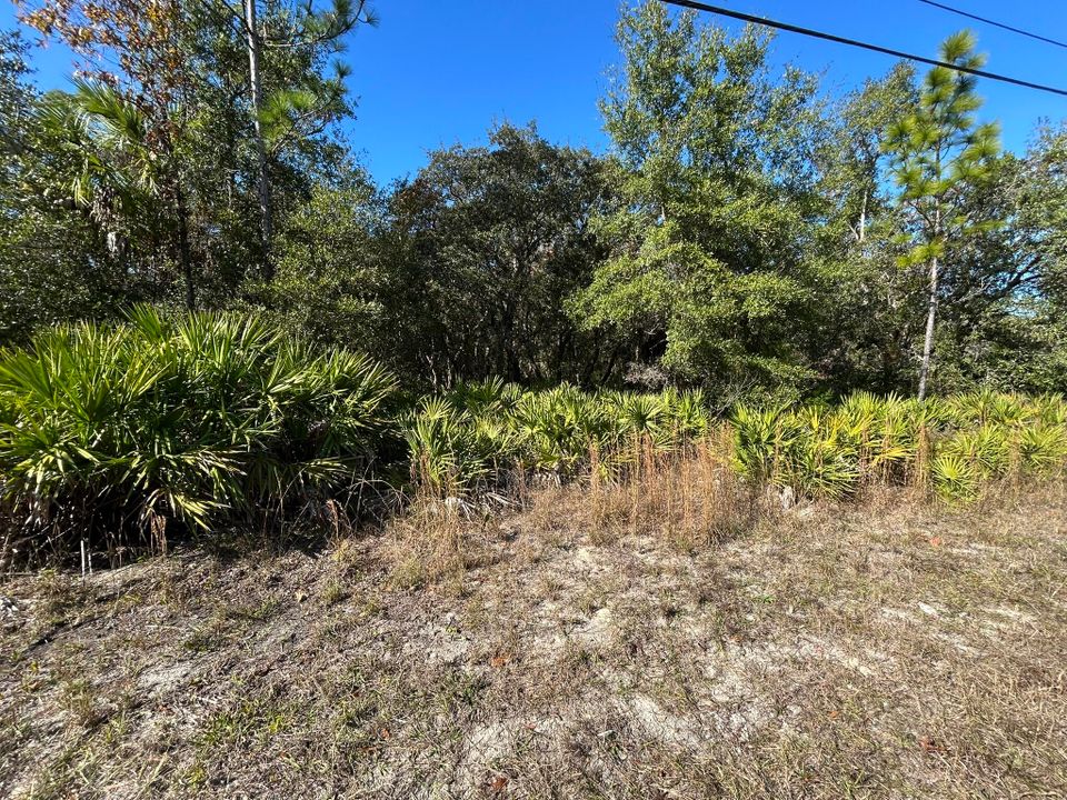 For Sale: $37,900 (0 beds, 0 baths, 0 Square Feet)