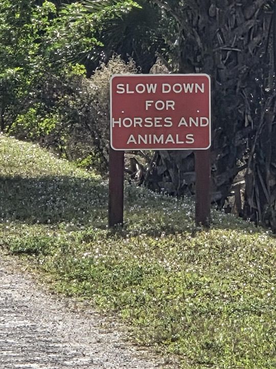 For Sale: $515,000 (0 beds, 0 baths, 0 Square Feet)