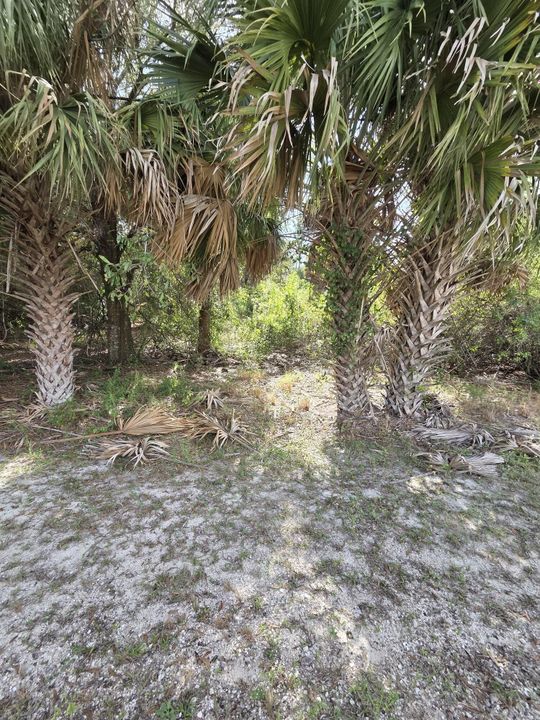 For Sale: $515,000 (0 beds, 0 baths, 0 Square Feet)