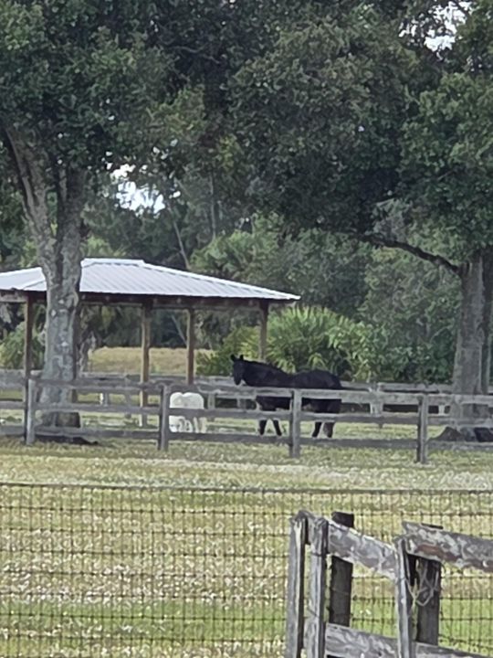 For Sale: $515,000 (0 beds, 0 baths, 0 Square Feet)