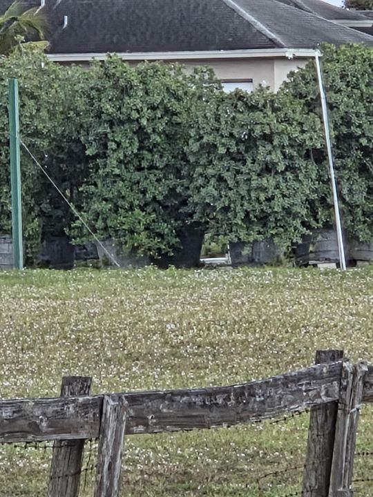 For Sale: $515,000 (0 beds, 0 baths, 0 Square Feet)