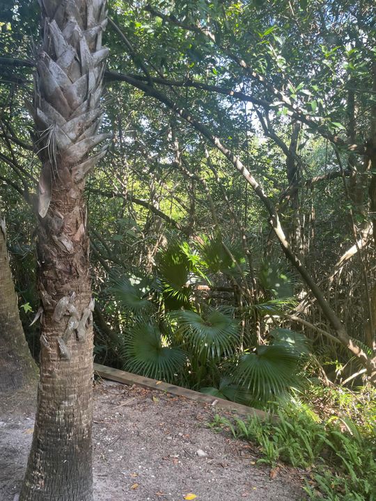 На продажу: $199,900 (1 спален, 1 ванн, 898 Квадратных фут)