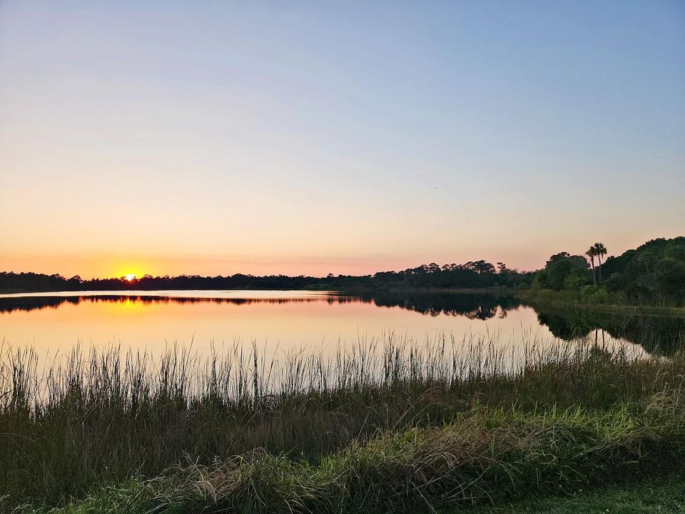 待售: $175,000 (2 贝兹, 1 浴室, 1328 平方英尺)