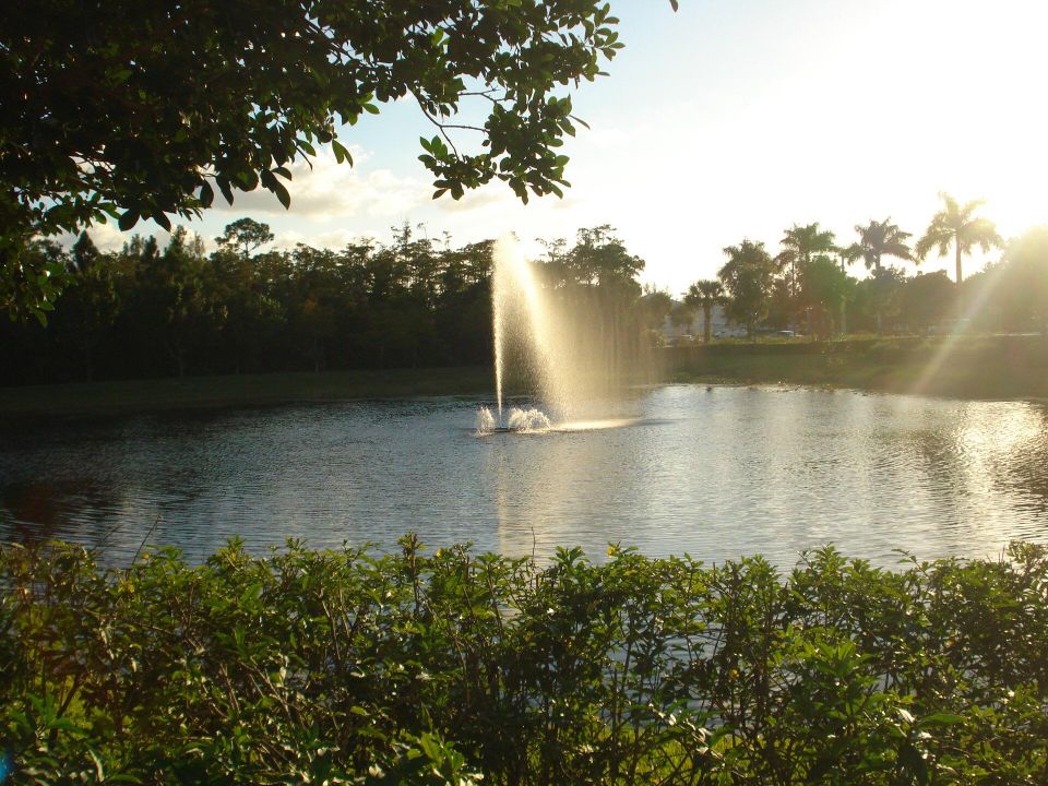 В аренду: $2,300 (2 спален, 2 ванн, 1107 Квадратных фут)