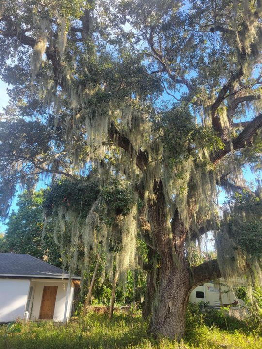 For Sale: $198,900 (4 beds, 2 baths, 2434 Square Feet)