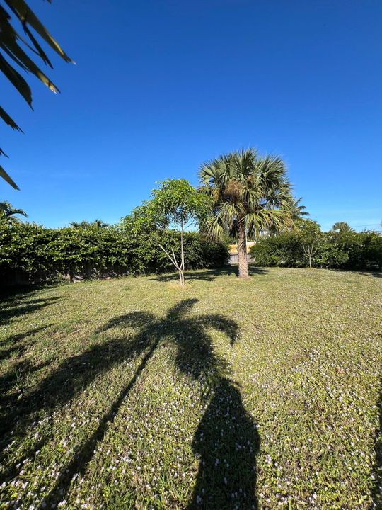 На продажу: $445,000 (3 спален, 1 ванн, 1428 Квадратных фут)