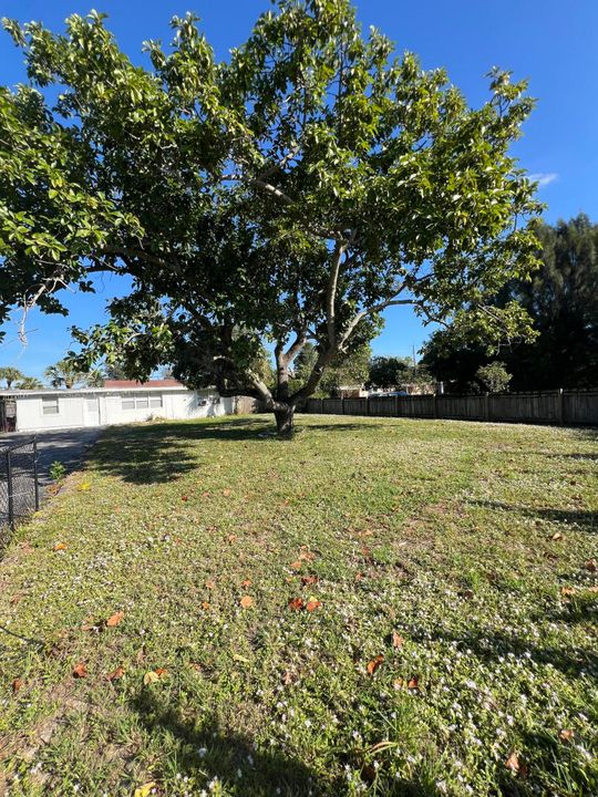 На продажу: $445,000 (3 спален, 1 ванн, 1428 Квадратных фут)