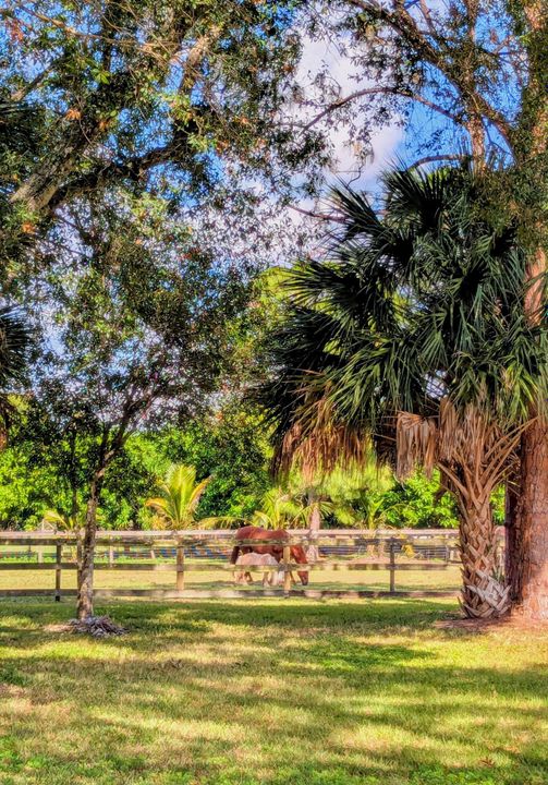 En Venta: $1,395,000 (4 camas, 3 baños, 2936 Pies cuadrados)