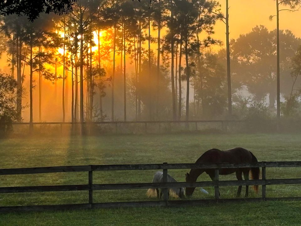 En Venta: $1,395,000 (4 camas, 3 baños, 2936 Pies cuadrados)