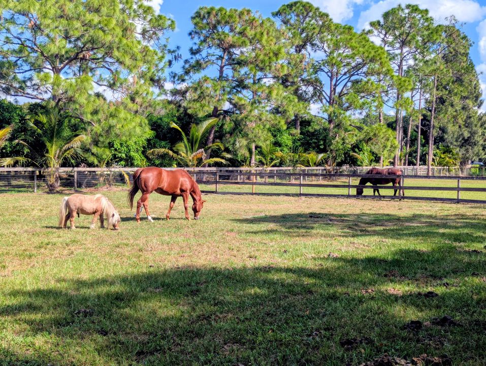 En Venta: $1,395,000 (4 camas, 3 baños, 2936 Pies cuadrados)