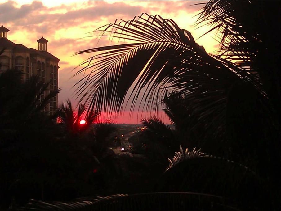 En Renta: $3,150 (1 camas, 1 baños, 907 Pies cuadrados)