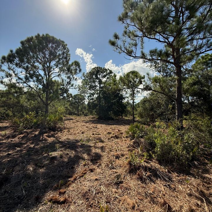 For Sale: $499,000 (0 beds, 0 baths, 0 Square Feet)