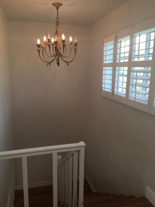 出租: $4,500 (2 贝兹, 1 浴室, 1233 平方英尺)