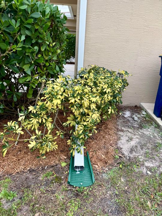 En Venta: $2,555,000 (0 camas, 0 baños, 2000 Pies cuadrados)