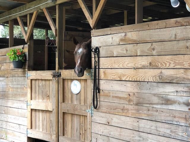 En Venta: $799,000 (2 camas, 2 baños, 897 Pies cuadrados)