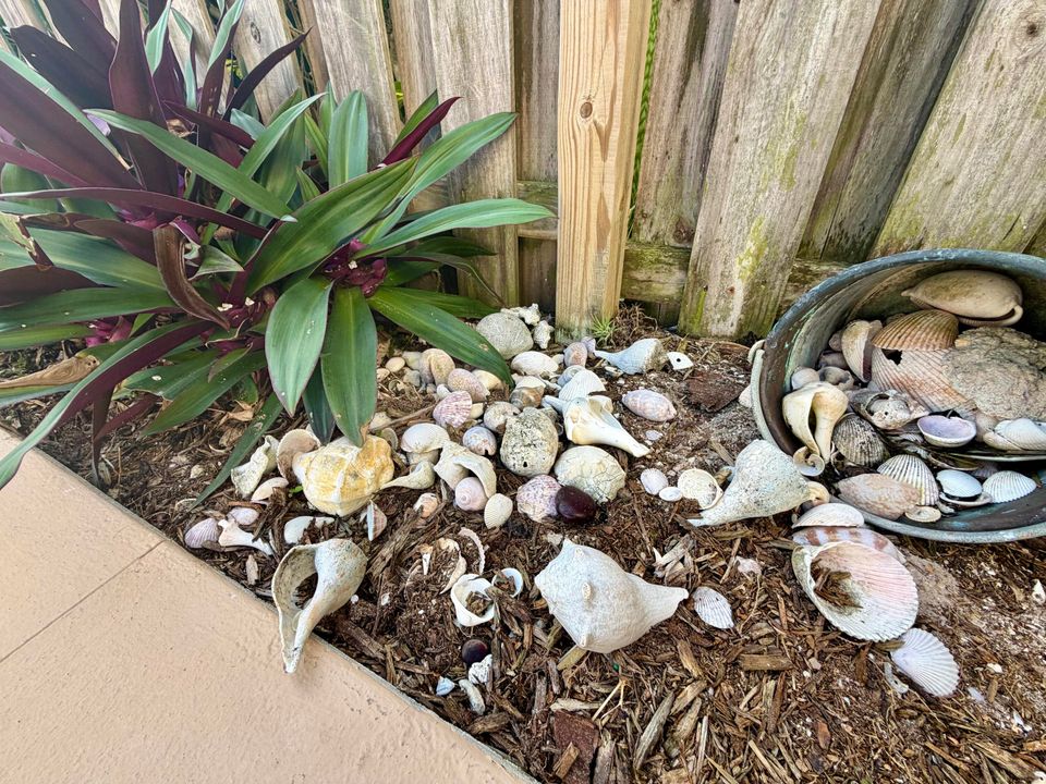 For Sale: $285,000 (2 beds, 1 baths, 1234 Square Feet)