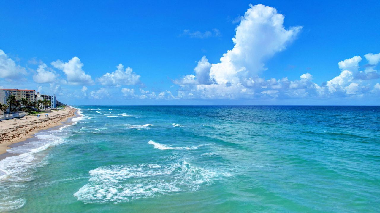 出租: $11,500 (2 贝兹, 2 浴室, 1402 平方英尺)