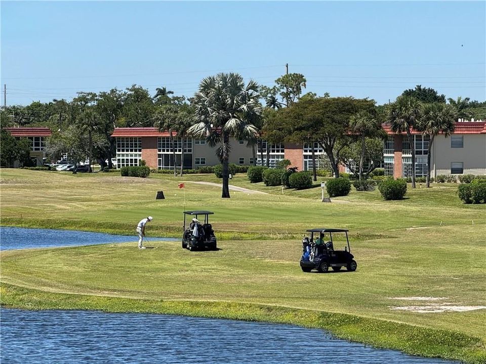 出租: $1,500 (1 贝兹, 1 浴室, 813 平方英尺)