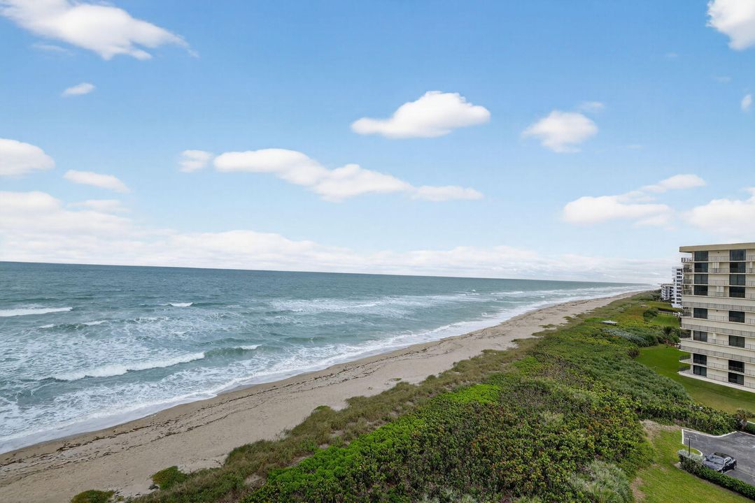 出租: $6,500 (2 贝兹, 2 浴室, 1602 平方英尺)