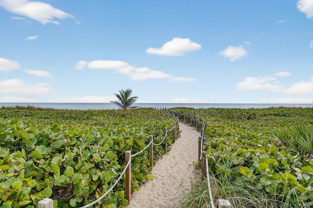 出租: $10,500 (2 贝兹, 2 浴室, 1400 平方英尺)