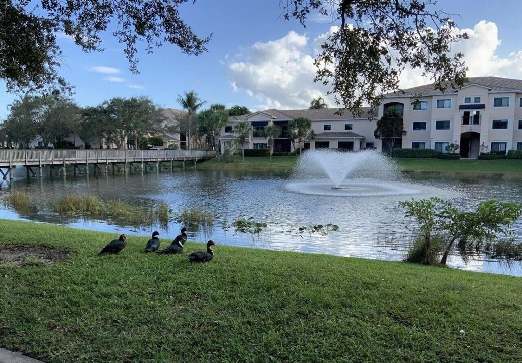 For Rent: $2,150 (1 beds, 1 baths, 702 Square Feet)