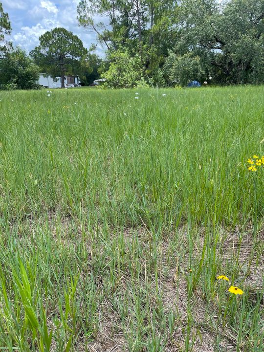 For Sale: $170,000 (0 beds, 0 baths, 0 Square Feet)