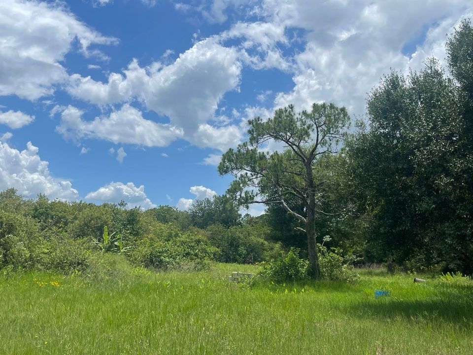 For Sale: $170,000 (0 beds, 0 baths, 0 Square Feet)