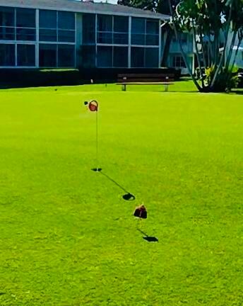 На продажу: $179,000 (1 спален, 1 ванн, 646 Квадратных фут)