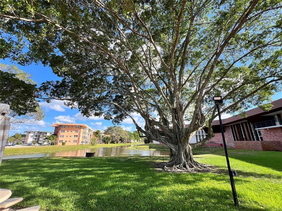 For Rent: $1,650 (1 beds, 1 baths, 768 Square Feet)