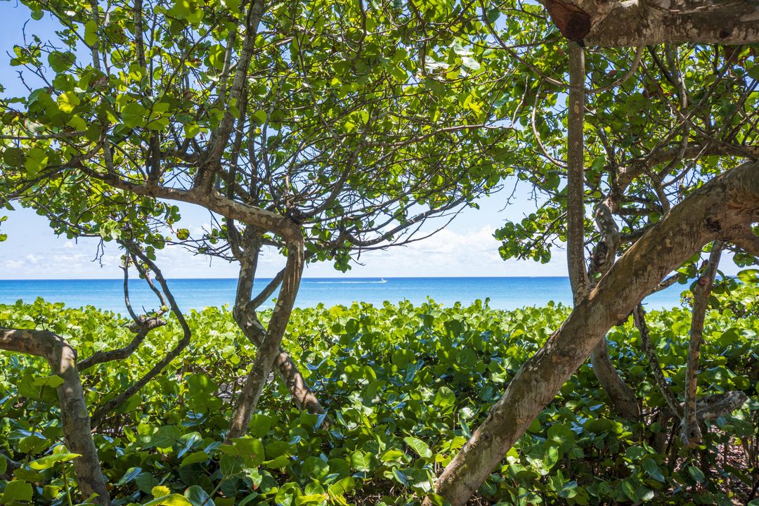 En Venta: $4,999,000 (4 camas, 3 baños, 2209 Pies cuadrados)